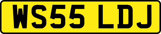 WS55LDJ