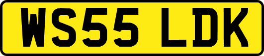 WS55LDK