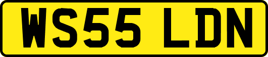 WS55LDN
