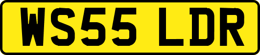 WS55LDR