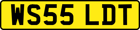 WS55LDT