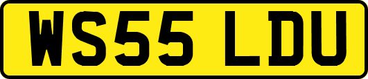 WS55LDU