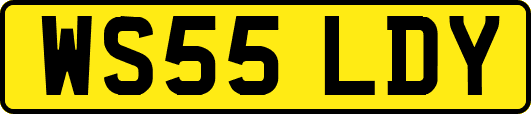 WS55LDY