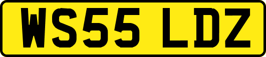 WS55LDZ