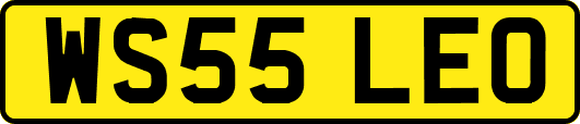 WS55LEO