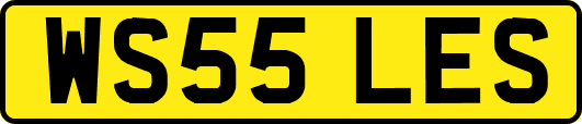 WS55LES