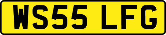 WS55LFG