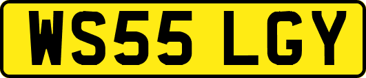 WS55LGY