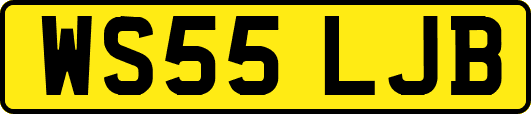 WS55LJB