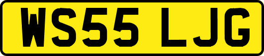 WS55LJG