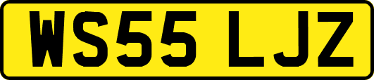 WS55LJZ