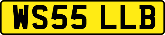 WS55LLB