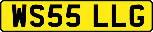 WS55LLG