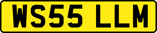 WS55LLM