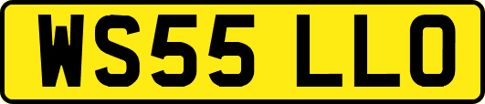 WS55LLO