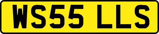 WS55LLS