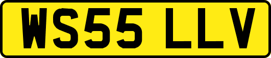 WS55LLV