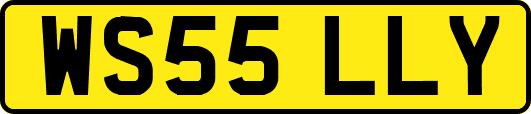 WS55LLY