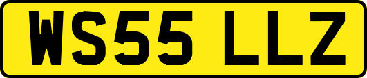 WS55LLZ