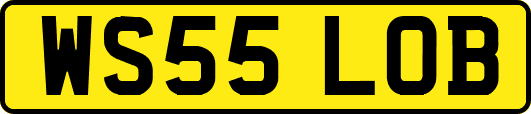 WS55LOB