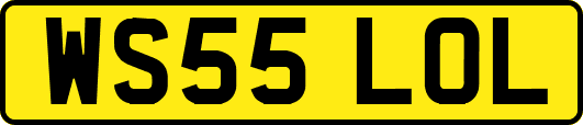 WS55LOL