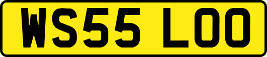 WS55LOO