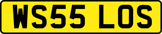 WS55LOS