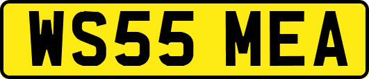 WS55MEA