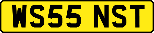 WS55NST