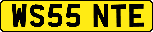 WS55NTE
