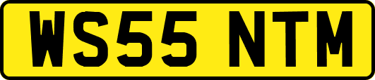 WS55NTM