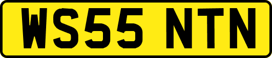 WS55NTN