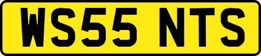 WS55NTS