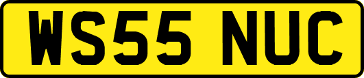 WS55NUC