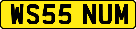 WS55NUM