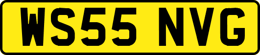 WS55NVG
