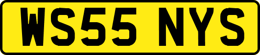 WS55NYS
