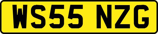 WS55NZG