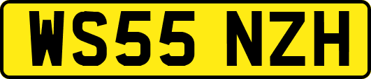 WS55NZH