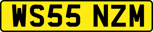 WS55NZM