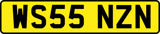 WS55NZN