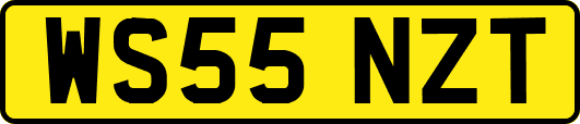 WS55NZT