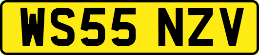 WS55NZV