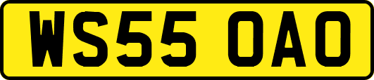 WS55OAO