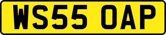 WS55OAP