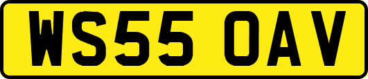 WS55OAV
