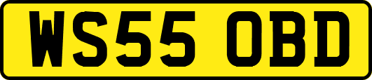 WS55OBD