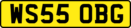 WS55OBG