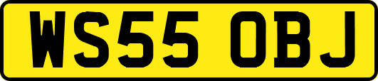 WS55OBJ