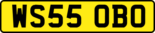 WS55OBO